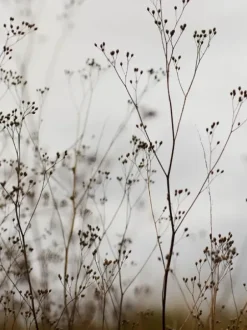 New 11 minuutin kasvojooga -kirja Kirjat|Jooga