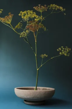 Best - ruukku Ada RAW Grey, Ø 35 cm Ruukut Ja Maljakot