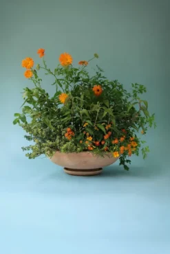 Discount - ruukku Ada RAW Rosa, Ø 30 cm Ruukut Ja Maljakot