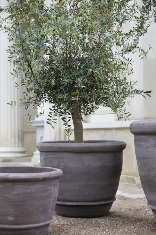 Sale - ruukku Campana RAW Grey, Ø 60 cm Ruukut Ja Maljakot