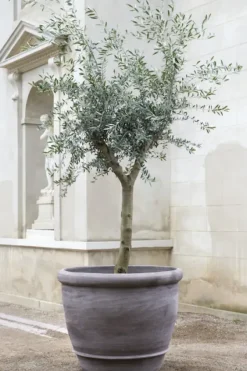 Sale - ruukku Campana RAW Grey, Ø 60 cm Ruukut Ja Maljakot