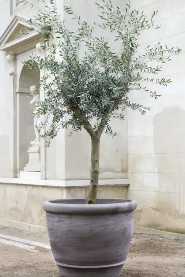 Sale - ruukku Campana RAW Grey, Ø 60 cm Ruukut Ja Maljakot