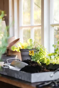 Online - ruukku Parade RAW Grey, Ø 13 cm Ruukut Ja Maljakot