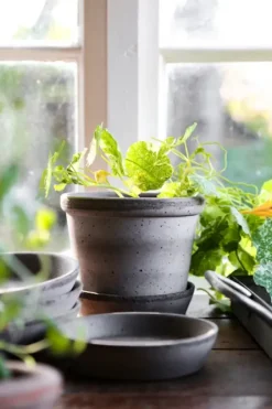 Discount - ruukku Parade RAW Grey, Ø15 cm Ruukut Ja Maljakot