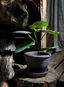 Discount - ruukku Parade RAW Grey, Ø15 cm Ruukut Ja Maljakot