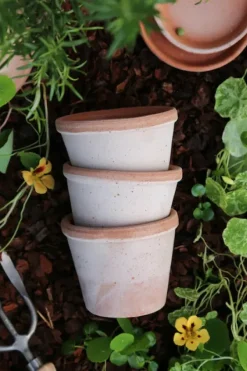 Clearance - ruukku Parade RAW Rosa, Ø 13 cm Ruukut Ja Maljakot