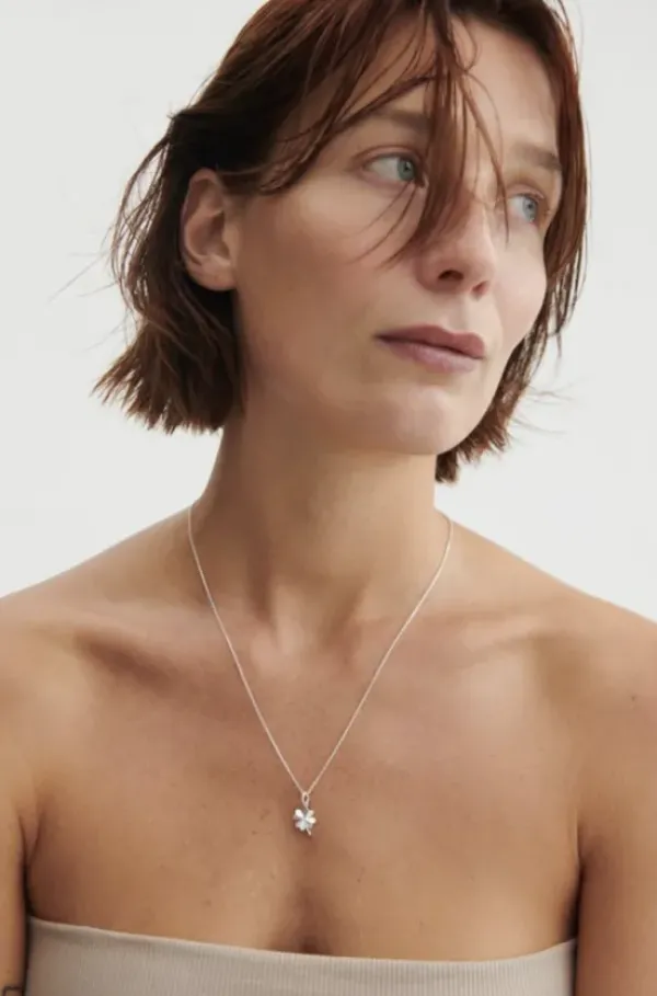 Clover apilariipus, hopea Kaulakorut