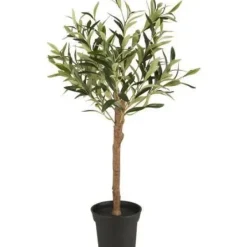 Ib Laursen - Oliivipuu S h75cm Piha Ja Terassi|Oliivipuut