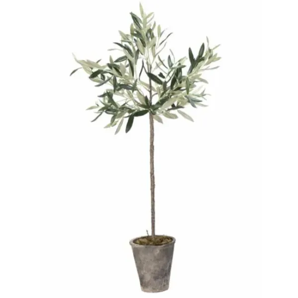 Best Oliivipuu H73cm Piha Ja Terassi|Oliivipuut