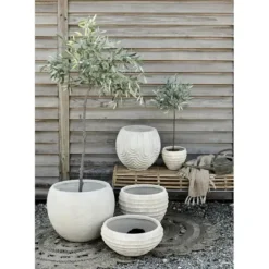 Best Oliivipuu H73cm Piha Ja Terassi|Oliivipuut