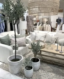 Best Oliivipuu H73cm Piha Ja Terassi|Oliivipuut