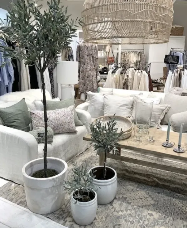 Best Oliivipuu H73cm Piha Ja Terassi|Oliivipuut