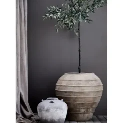 Sale Oliivipuu H160cm Piha Ja Terassi|Oliivipuut