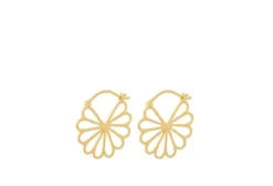 - Bellis korvakorut, kulta Korvakorut