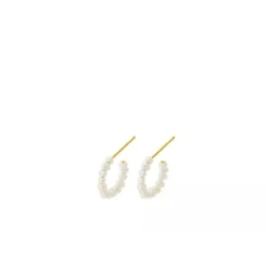 Clearance - Ocean Treasure Hoops, kulta Korvakorut