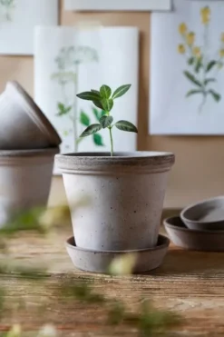 Sale Ruukku Flora RAW Grey, Ø 30 cm Ruukut Ja Maljakot