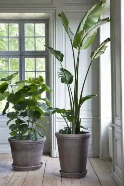 Sale Ruukku Flora RAW Grey, Ø 30 cm Ruukut Ja Maljakot