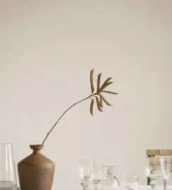 Online – lasi, pieni Astiat