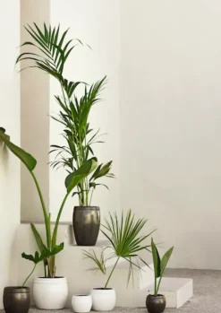 Clearance - ruukku, valkoinen Piha Ja Terassi|Ruukut Ja Maljakot