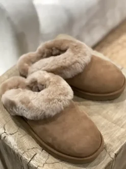 Hot - Classic slipper II, chestnut Ugg|Tohvelit